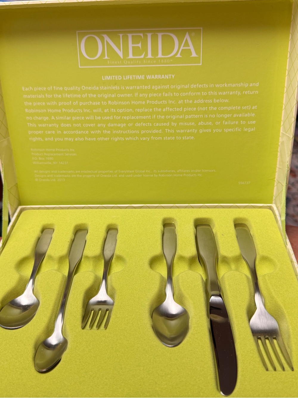 Oneida Stainless Flatware Set in Silver with Lime Green Case